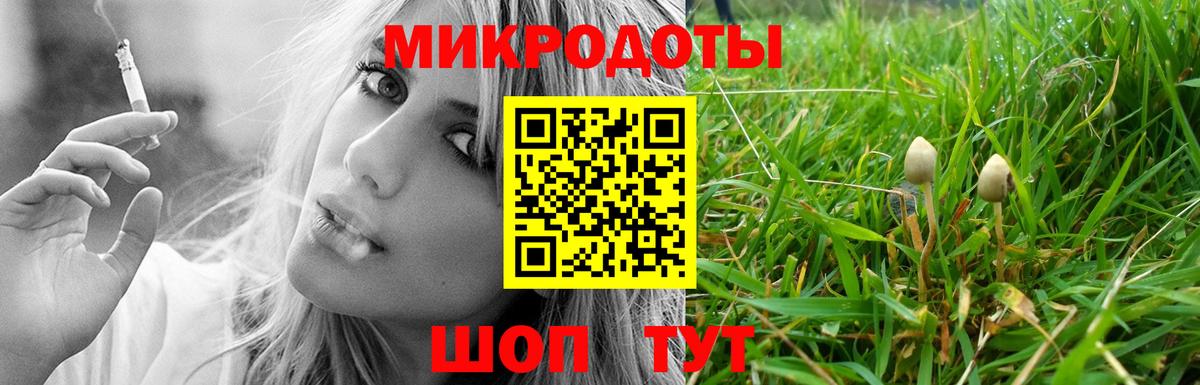 Псилоцибиновые грибы GOLDEN TEACHER Ростов-на-Дону